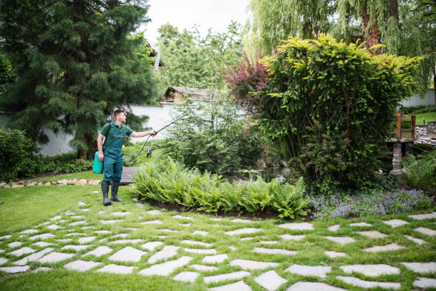 Best Pest Removal Services  in Wilson, NC