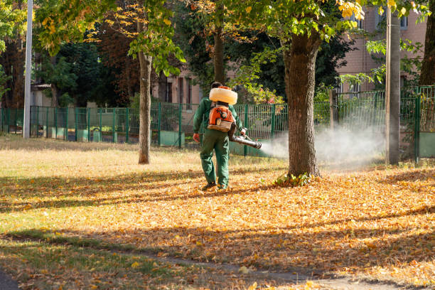 Best Flea Control Services  in Wilson, NC