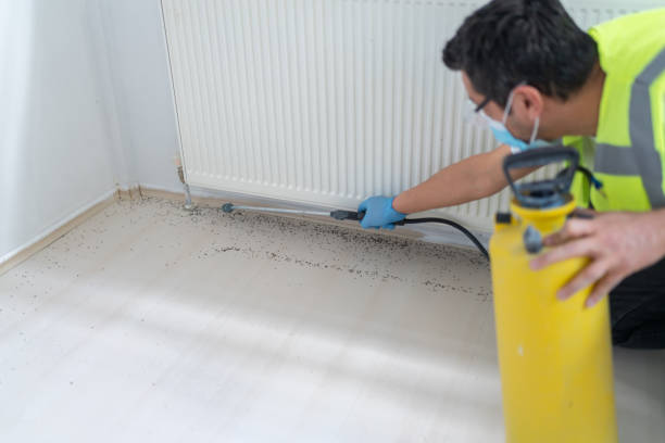 Best Exterminator Services  in Wilson, NC